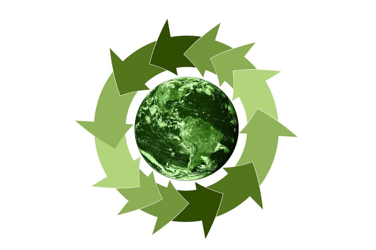 Economía Circular-Residuo Cero-Ribawood